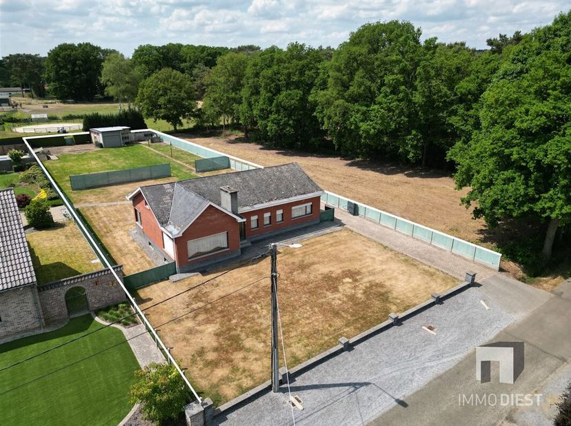 Ontdek deze prachtige gelijkvloerswoning in Tessenderlo, gelegen op een ruim perceel van 2087m². Deze vrijstaande woning biedt een royale bruikbare op