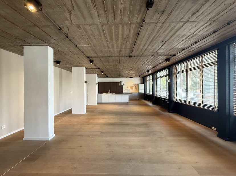 Situé dans le quartier Plasky, entre le parc du Cinquantenaire et le parc Josaphat, ce spacieux appartement de type loft offre une superficie de 228 m