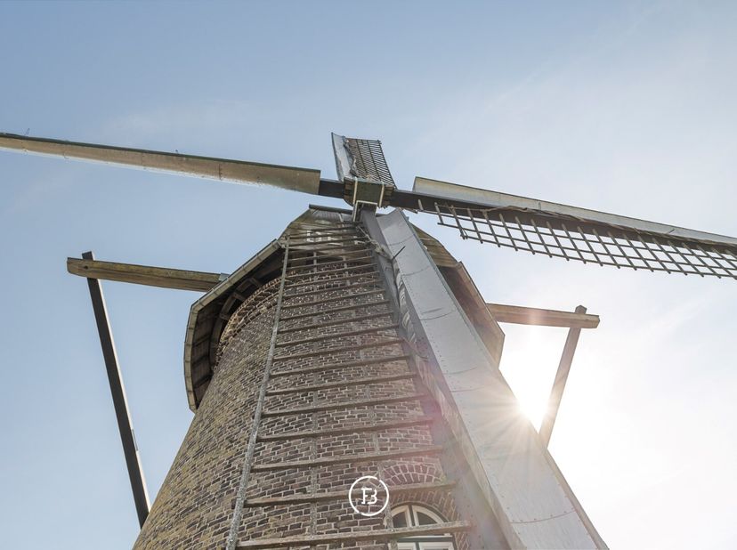 Unieke investeringskans in drie charmante vakantiewoningen op het domein van de beschermde windmolen De Hoop uit 1870 idyllisch gelegen in het groen e