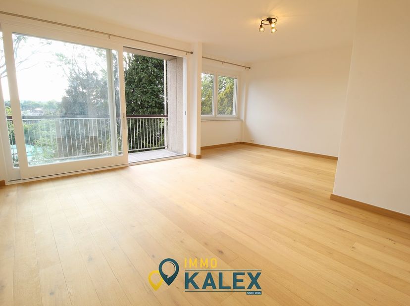 Ce grand studio très lumineux, avec coin à dormir, a été entièrement rénové et est agrémenté d’une terrasse, un parking (loyer 80 € / mois) et une cav