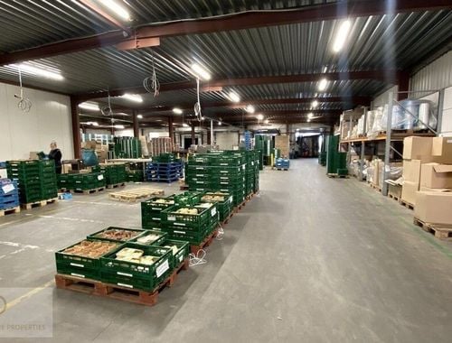                                         Entrepôt sans bureau à louer à Sint-Katelijne-Waver, € 5.000
