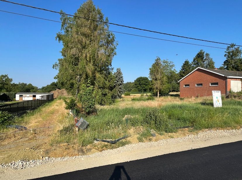 Terrain à vendre
                    à 3980 Tessenderlo