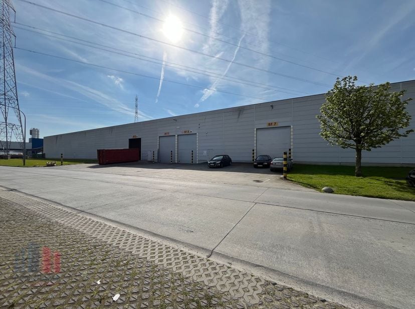 Bedrijfsgebouw te huur met een oppervlakte van 10.000 m² in het industriepark Groenedreef, gelegen op een top locatie vlakbij de E17.&lt;br /&gt;
&lt;br /&gt;
Het