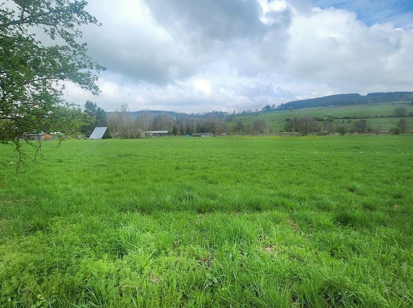 Deze bouwgrond is gelegen in Les Sart Lierneux. Het maakt deel uit van een geheel van drie loten. Deze is LOT D, met een oppervlakte van 1.384m².  Een