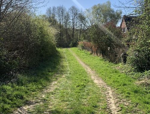                                         Terrain à bâtir à vendre à Meldert, € 85.000
