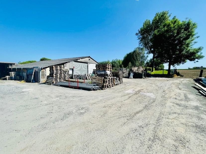 Bien professionnel à vendre
                    à 8553 Otegem