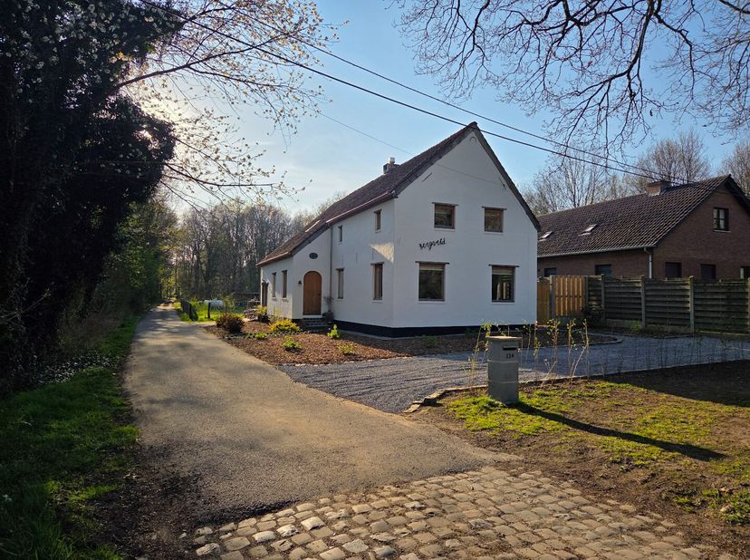 ** De afgelopen weken werden er nog wat werken uitgevoerd aan de woning: binnen - en buitenschilderwerken, de badkamer werd afgewerkt en de voortuin w