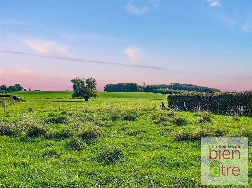 Découvrez ce magnifique terrain à bâtir de 1070 m², idéalement situé dans le charmant village de Piétrain. Offrant un cadre paisible et verdoyant, ce
