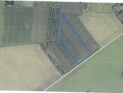                                         Terrain agricole à vendre à Sint-Truiden, € 29.300
