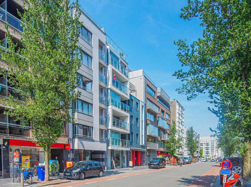 Dit handelsgelijkvloers is gelegen in het centrum van Oostende aan de Alfons Pieterslaan : het bruisende hart voor de kleinhandel, kunstwereld en zake