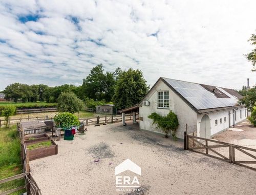                             Ferme à vendre à Peer
