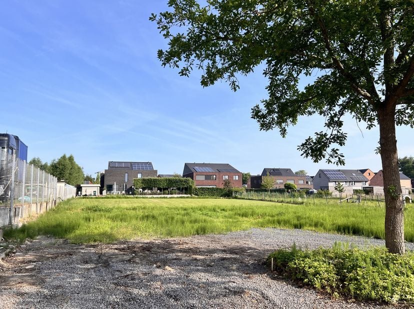 Terrain à vendre
                    à 9770 Kruishoutem