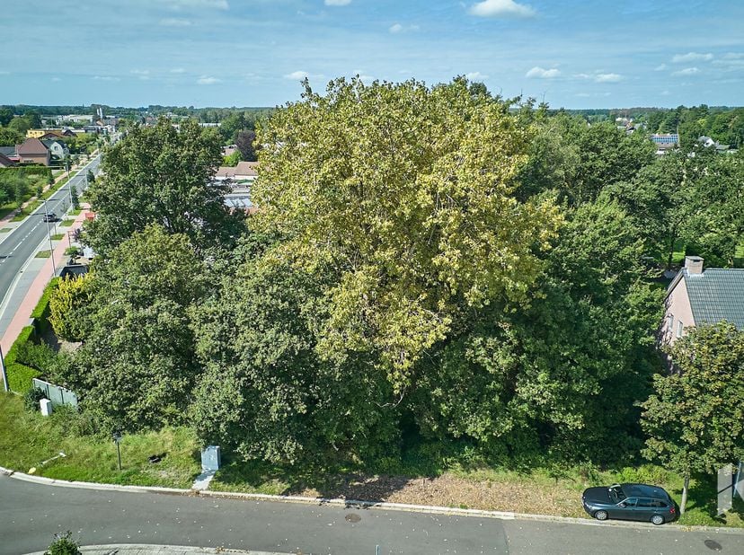 Terrain à vendre
                    à 3930 Hamont