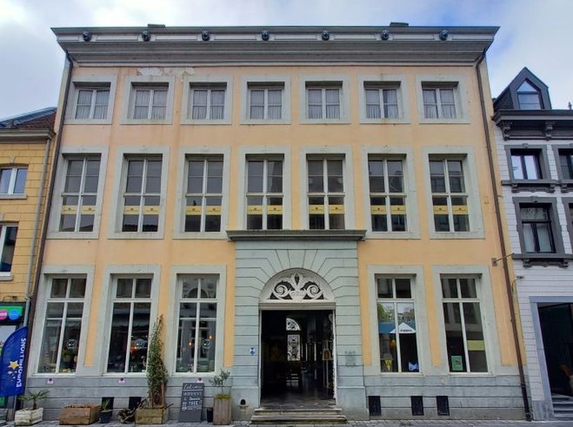 Op toplocatie, in dé winkelstraat van Maaseik, vind je dit indrukwekkende en geklasseerde herenhuis met rijke geschiedenis: “De Regenboeghe”, het voor