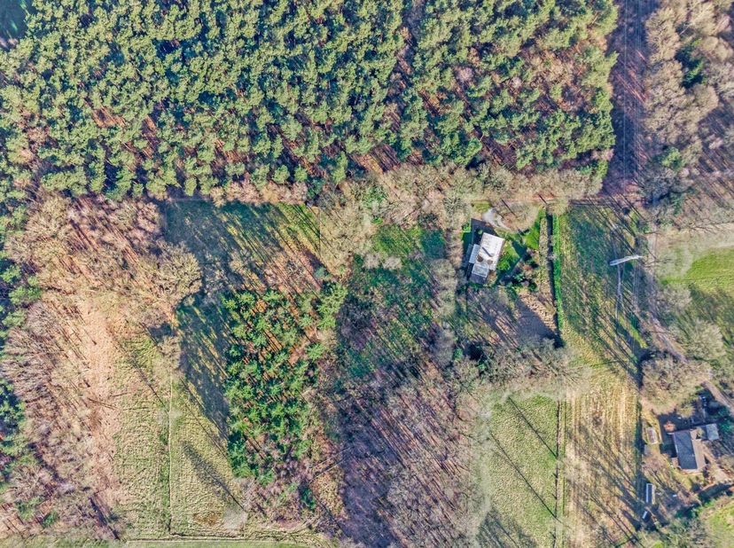 Te midden van bossen en weilanden ligt deze uitzonderlijk rustig gelegen woning, op de rand van Balen, Meerhout en Mol.  Hier geniet je van absolute p