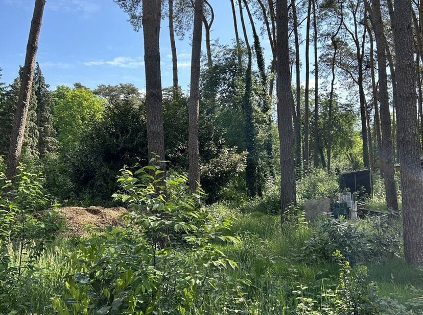 Beschrijving:Mooi perceel gelegen in een natuurlijke omgeving Halle/Zoersel.Kenmerken:Het betreffende perceel is gelegen in een gebied voor verblijfre