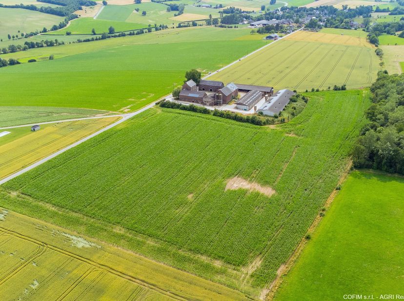 Belle ferme carrée à rénover à vendre avec bâtiments d&#039;élevage et terres agricoles attenantes.La ferme se compose d&#039;une maison de maître de caractère