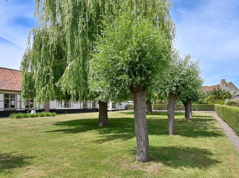 Maison à vendre
                    à 8380 Dudzele