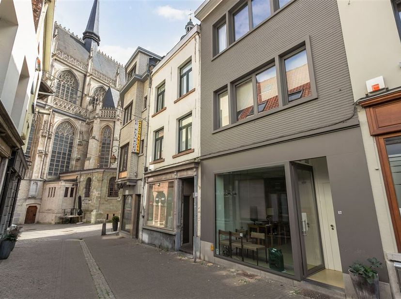 Handelsgelijkvloers in het Montmartre van Halle.&lt;br /&gt;
Winkelruimte in het bloeiende handelscentrum.&lt;br /&gt;
-1: droge stockagekelder&lt;br /&gt;
- Gelijkvloe