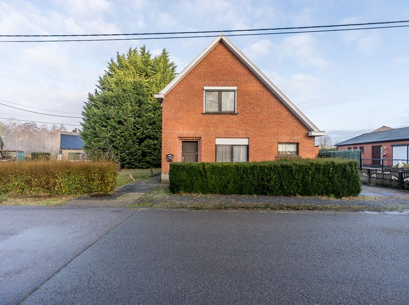 Maison à vendre
                    à 3271 Zichem