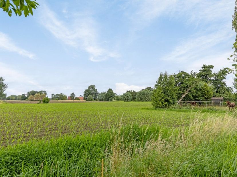 Terrain à vendre
                    à 9100 Sint-Niklaas