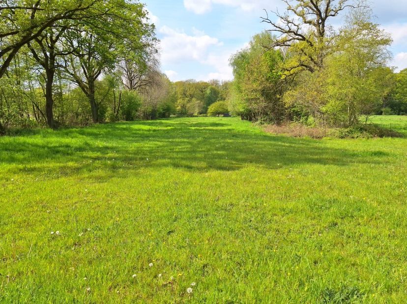 Terrain à vendre
                    à 3680 Maaseik