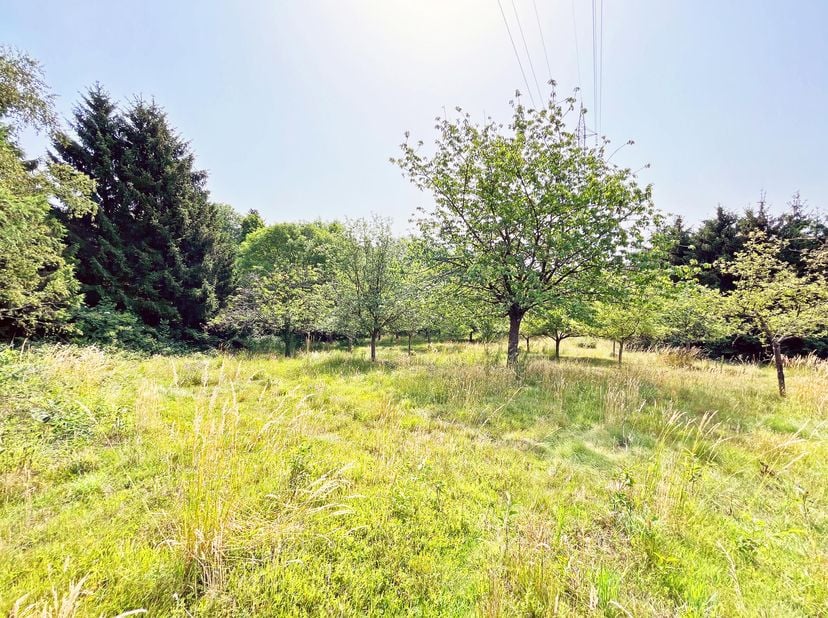 Nous vous proposons ce grand terrain à bâtir de presque 35 ares situé à Rochefort, dans le village de Forzée. Bénéficiant d&#039;une très belle localisatio