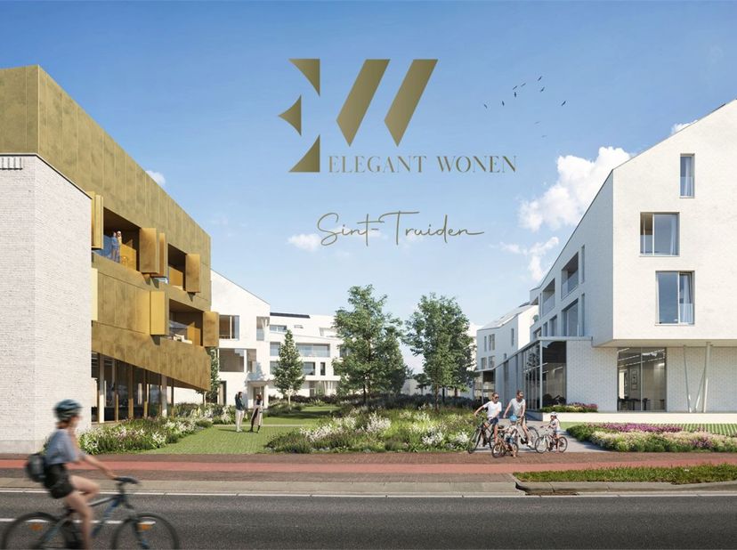 Bien professionnel à vendre
                    à 3800 Sint-Truiden