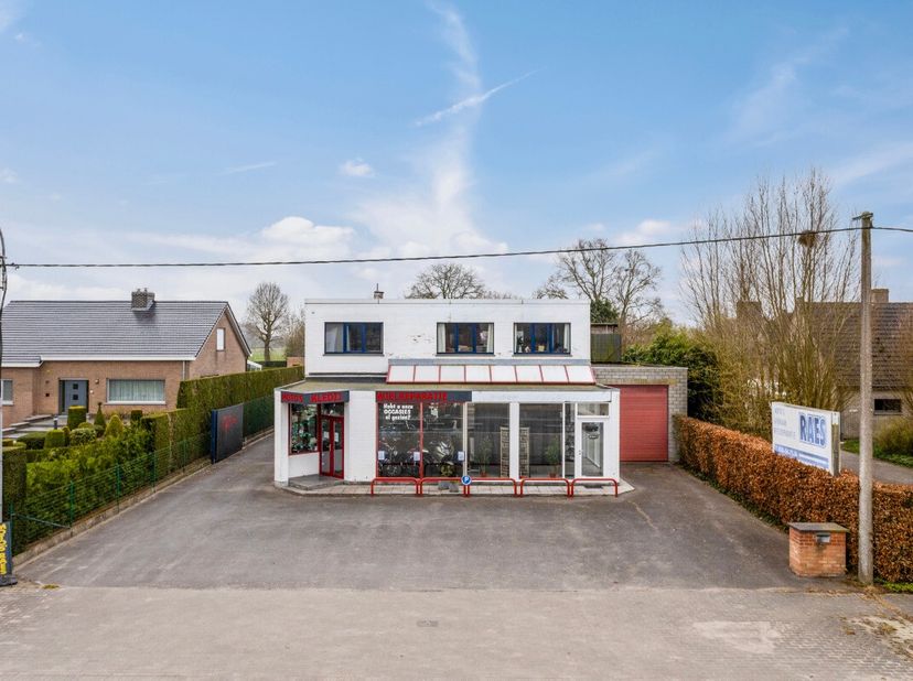 Bien professionnel à vendre
                    à 8210 Loppem