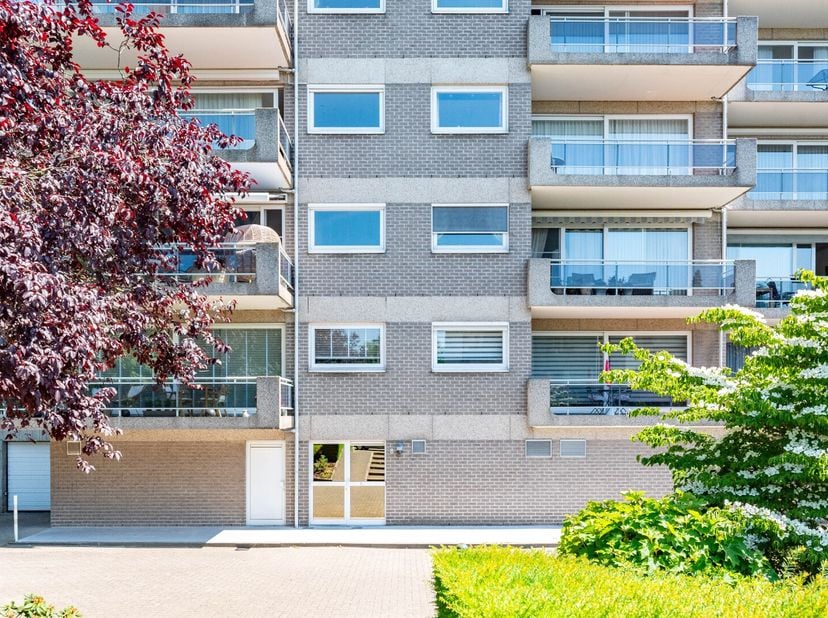 Appartement à louer
                    à 2600 Berchem
