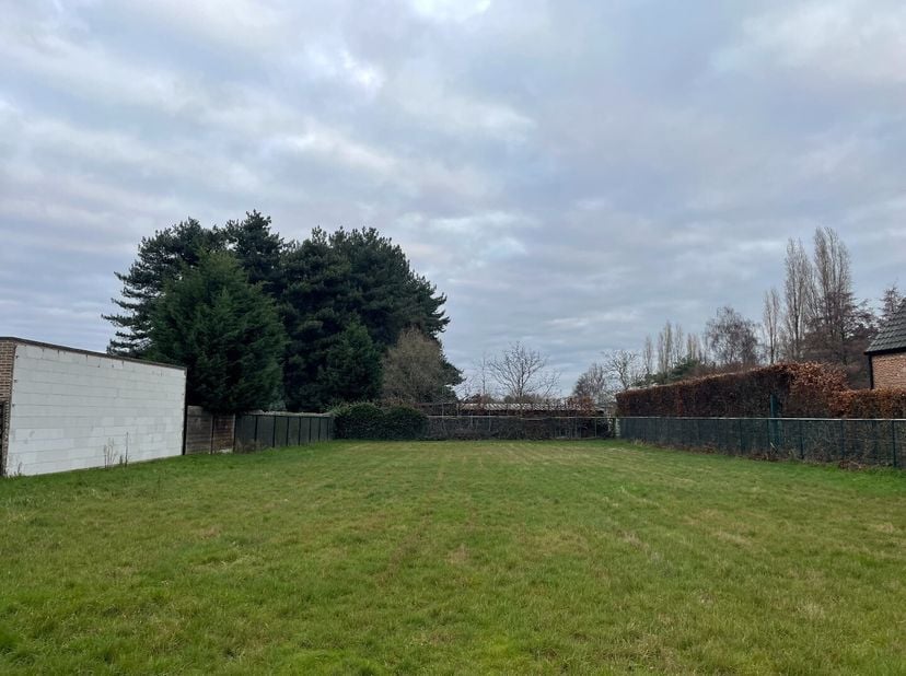 Terrain à vendre
                    à 2040 Berendrecht