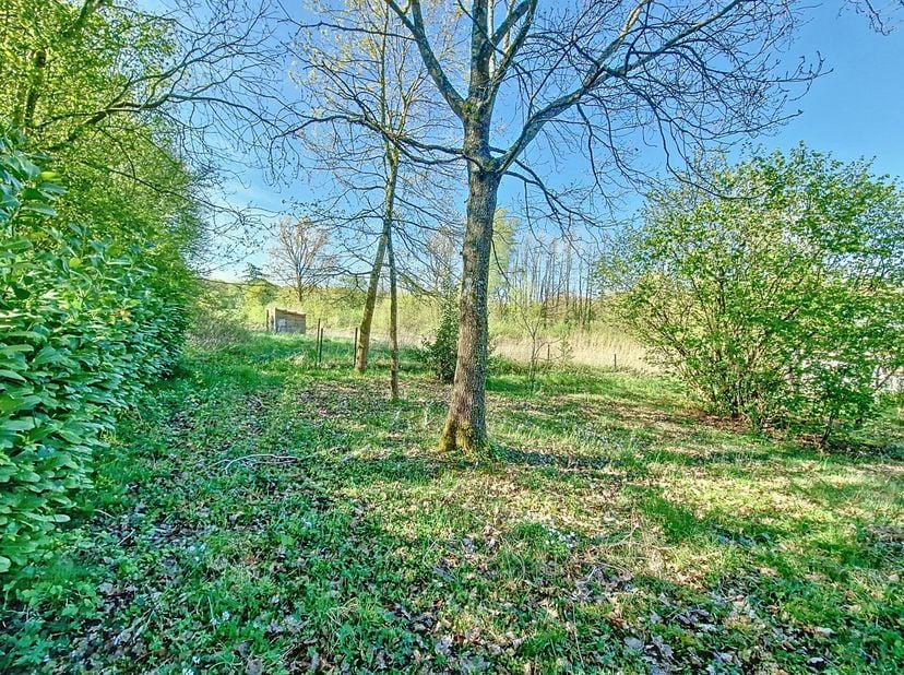 Vous rêvez dun projet immobilier dans un environnement verdoyant et paisible ? Cette superbe parcelle de 28 ares 69 centiares est une opportunité rare