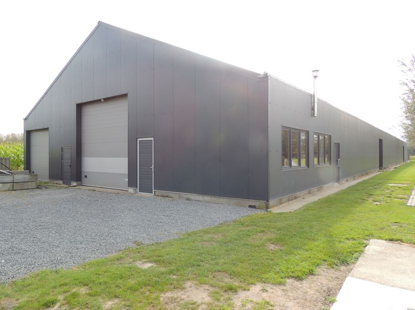 Bien professionnel à vendre
                    à 8020 Ruddervoorde