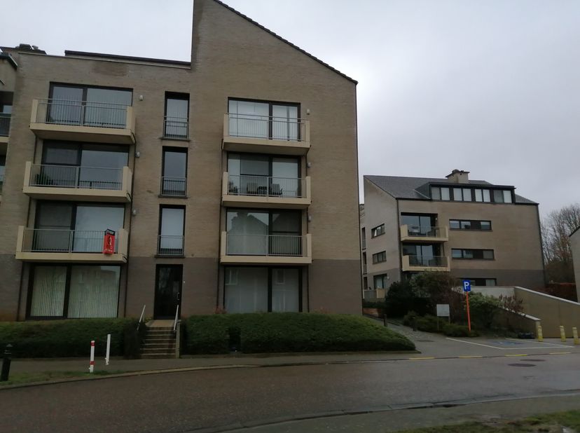 Appartement à louer
                    à 3580 Beringen