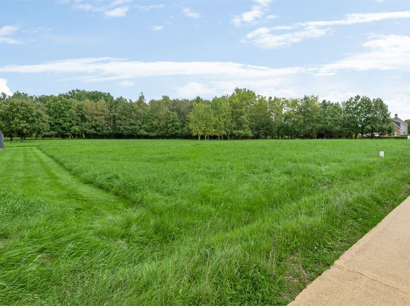 Terrain à vendre
                    à 2260 Westerlo