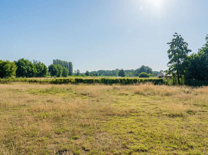 Gelegen op &quot;De Ruiter&quot; te Waasmunster bevindt zich deze rustig gelegen bouwgrond, geschikt voor het oprichten van een halfopen bebouwing. Het gaat om