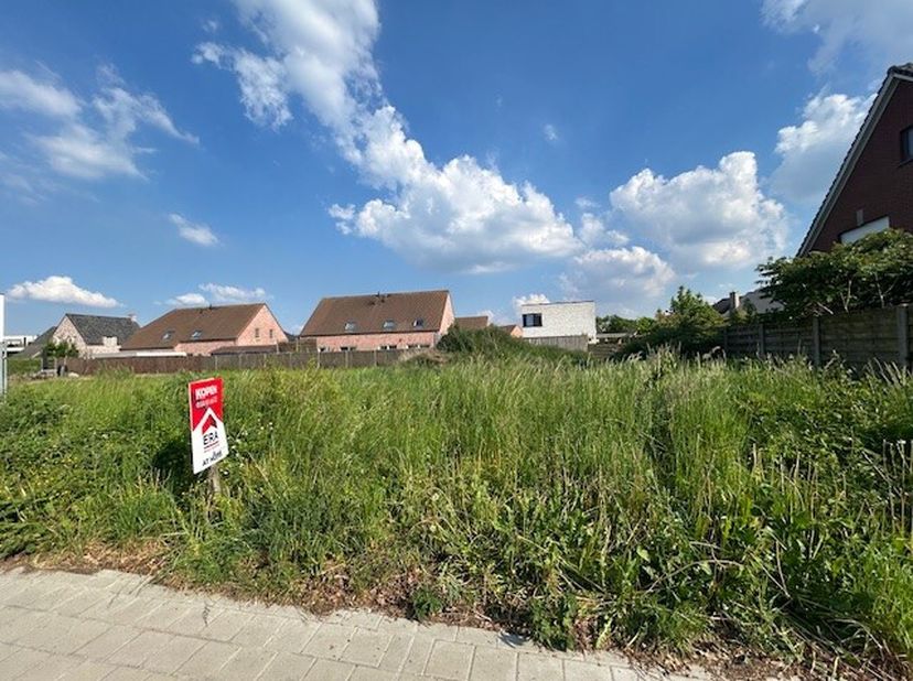 Wevelgem: terrain à bâtir avec beaucoup de potentiel à Wittemolenstraat.Atouts: libre de obligations de construction, voie urbanisme(info dans l&#039;annex