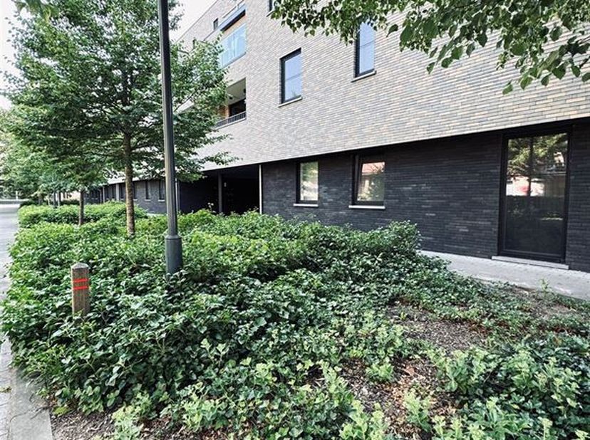 Appartement à louer
                    à 9120 Melsele