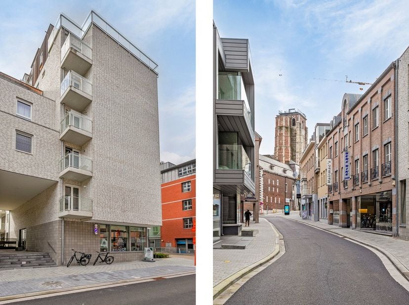 Bien professionnel à vendre
                    à 3800 Sint-Truiden
