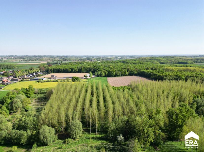 Appartement à vendre
                    à 3720 Kortessem
