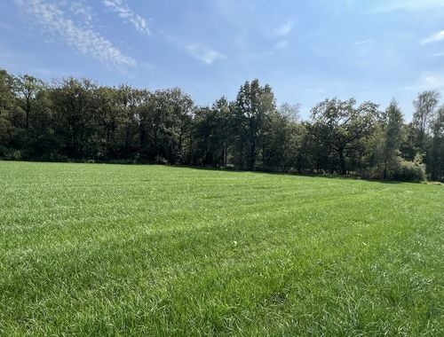                                         Terrain agricole à vendre à Turnhout, € 135.000
