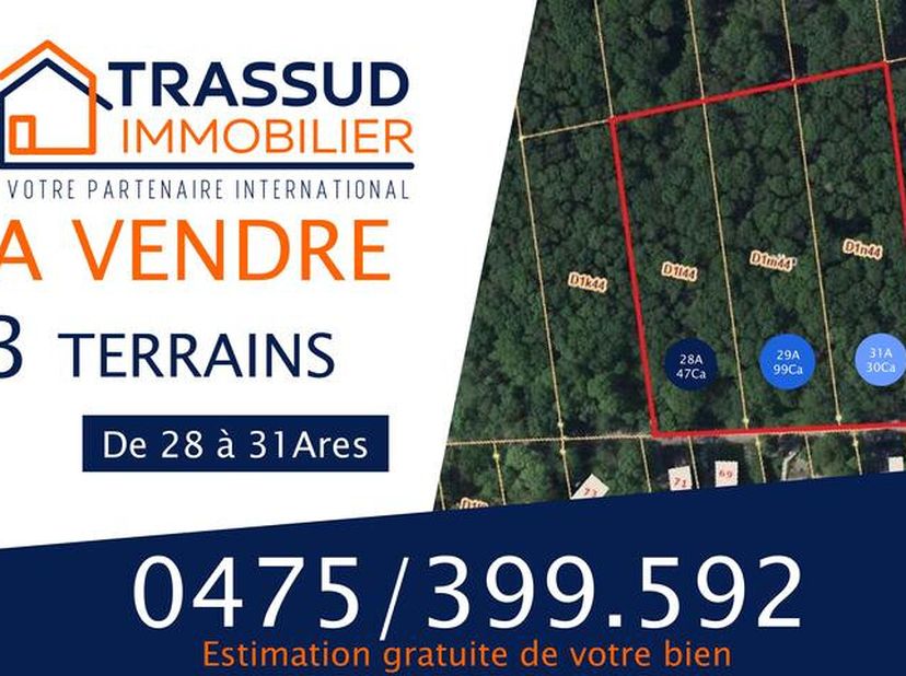 Magnifiques terrains à bâtir (3 lots) situés en plein cur du parc résidentiel Â La Forêt Â à proximité de Philippeville.Possibilité de construire jusq