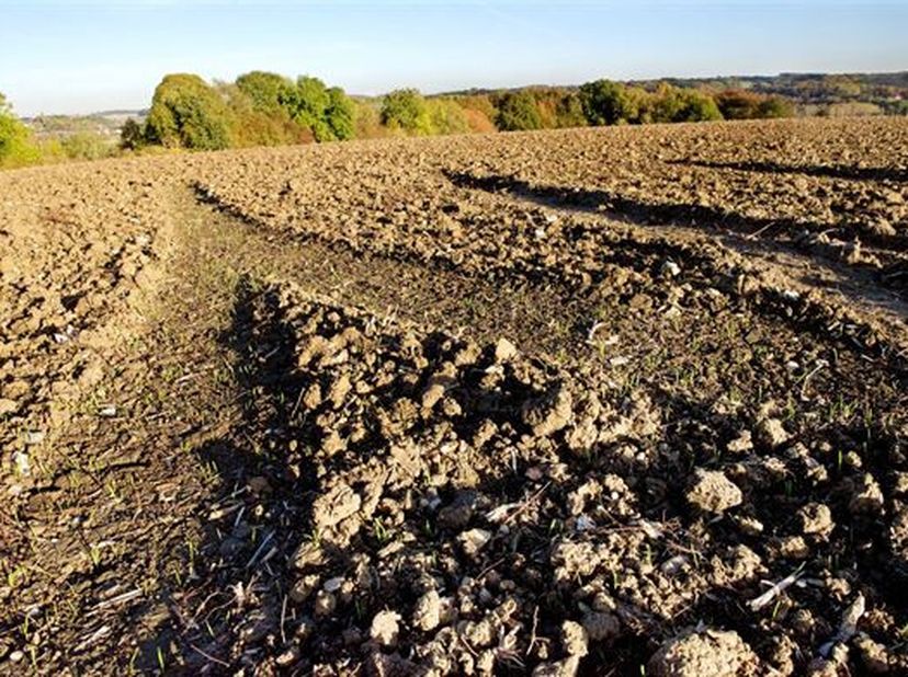 Très belle terre de grande taille, de relief plat. Contenance : 8 ha 16 a 40 ca.&lt;br /&gt;
Elle est occupée suivant un bail à ferme verbal.&lt;br /&gt;
Zone agr