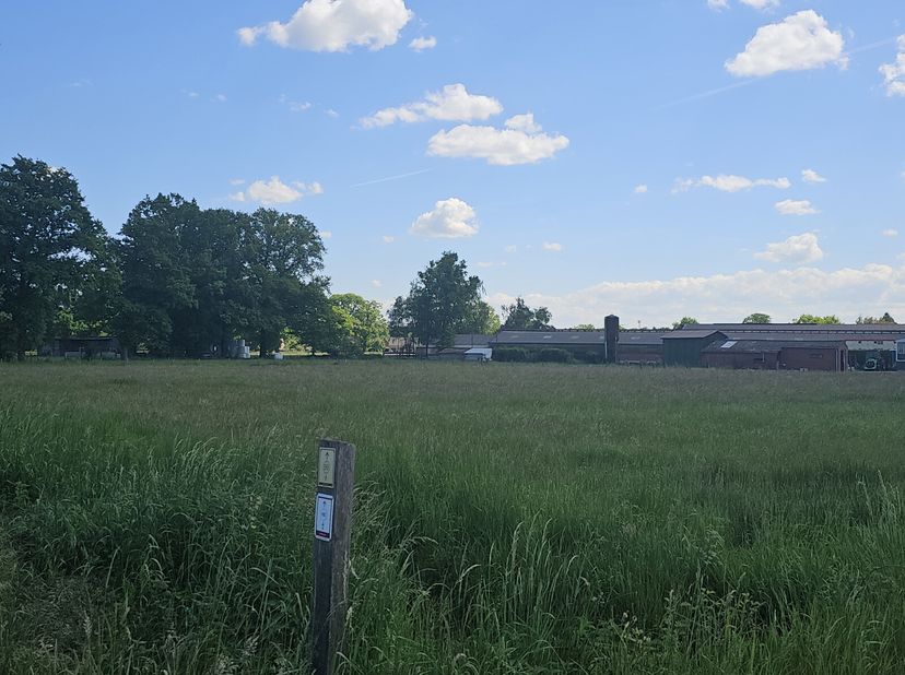 Landbouwgrond op gunstige locatie omgeving Gerhagen in Tessenderlo-Ham.&lt;br /&gt;
De grond is gelegen in Everslag, omgeven door agrarisch- en groengebied.