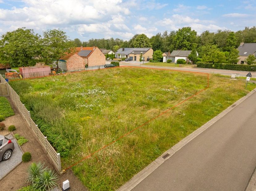 Terrain à vendre
                    à 3980 Tessenderlo