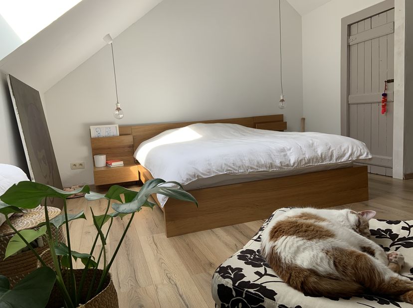 Maison à vendre
                    à 3500 Sint-Lambrechts-Herk