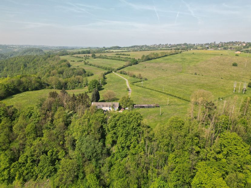 Site idéal pour projet équestre &amp; construction d&#039;écuries.Domaine dexception en pierre du pays sur  ± 36 ha 63 a 56 ca, idéalement situé à Magnée et se