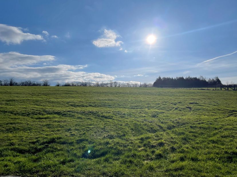 Deux magnifiques terrains à bâtir sis au calme, dans le village de Dion.&lt;br /&gt;
Ceux-ci profitent dun emplacement de choix, dans un environnement calme