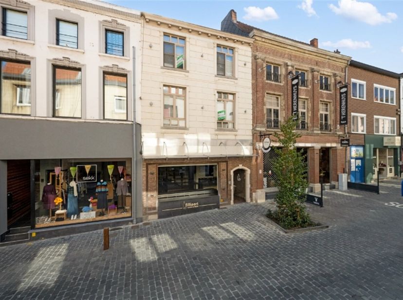 Bien professionnel à vendre
                    à 9300 Aalst