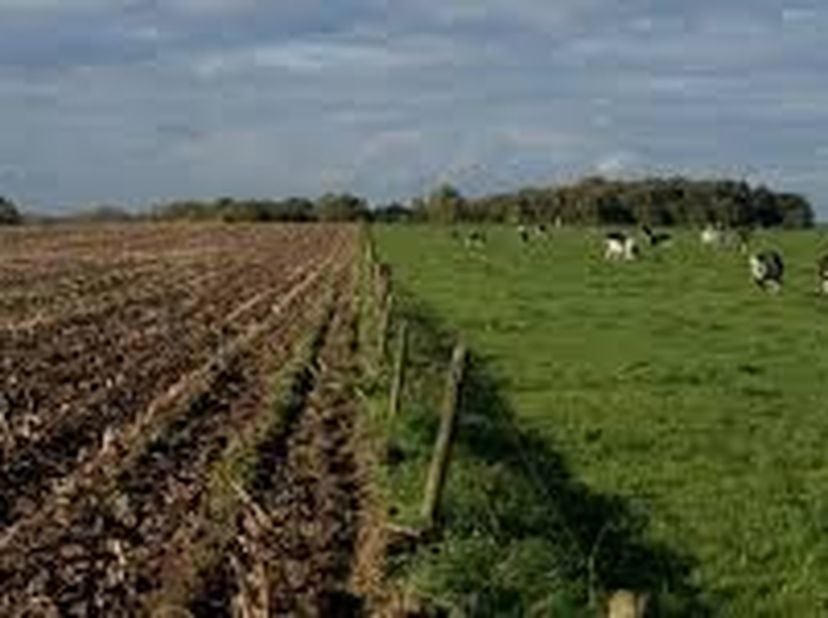 Terrain à vendre
                    à 2450 Meerhout